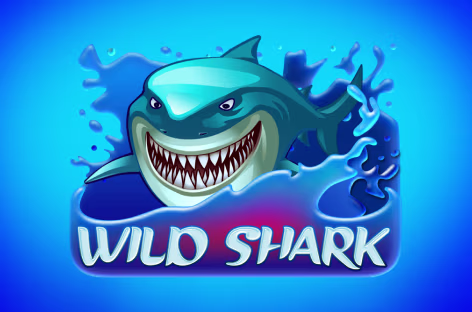 icon game for Wild Shark